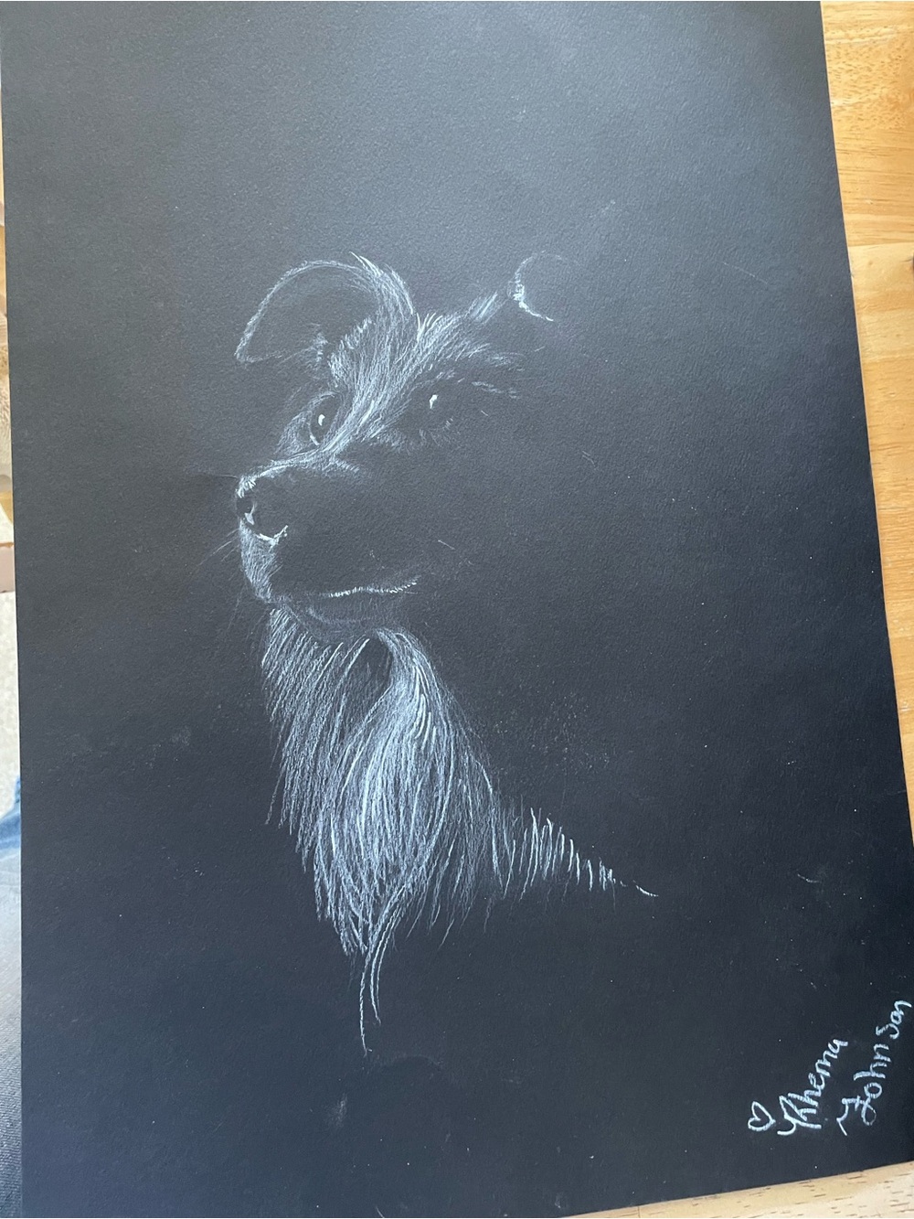 Original Dog Portrait Wall Art - Black & White Charcoal Pet Drawing Signed
